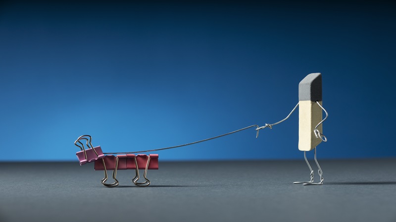 /images/1er31.jpg /images/1er31.jpg